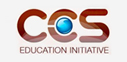 CSS Logo