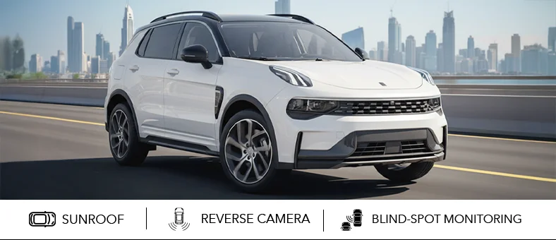 Rent a car with Selfdrive